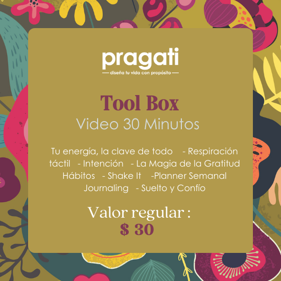 Pragati Tool Box